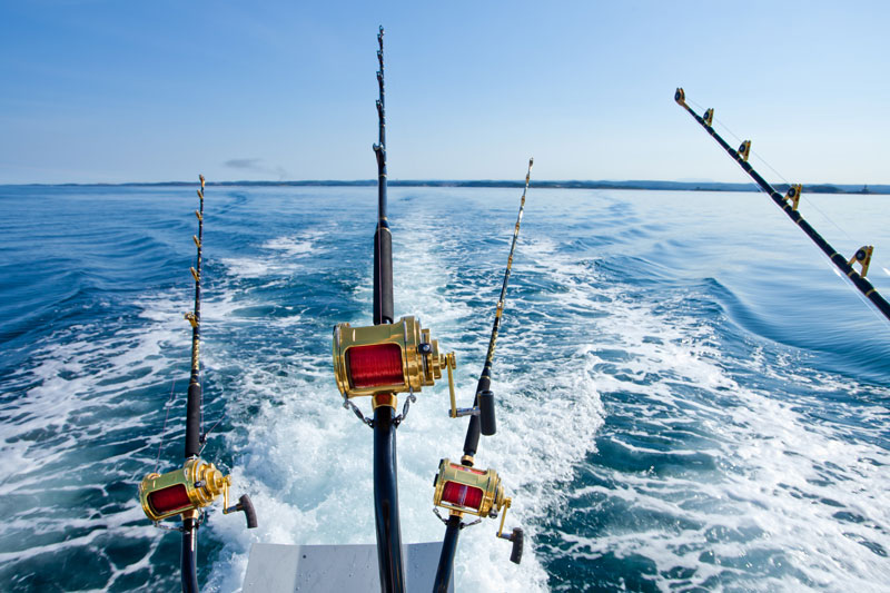Depositphotos_10766998_xl-2015 Depositphotos_10766998_xl-2015